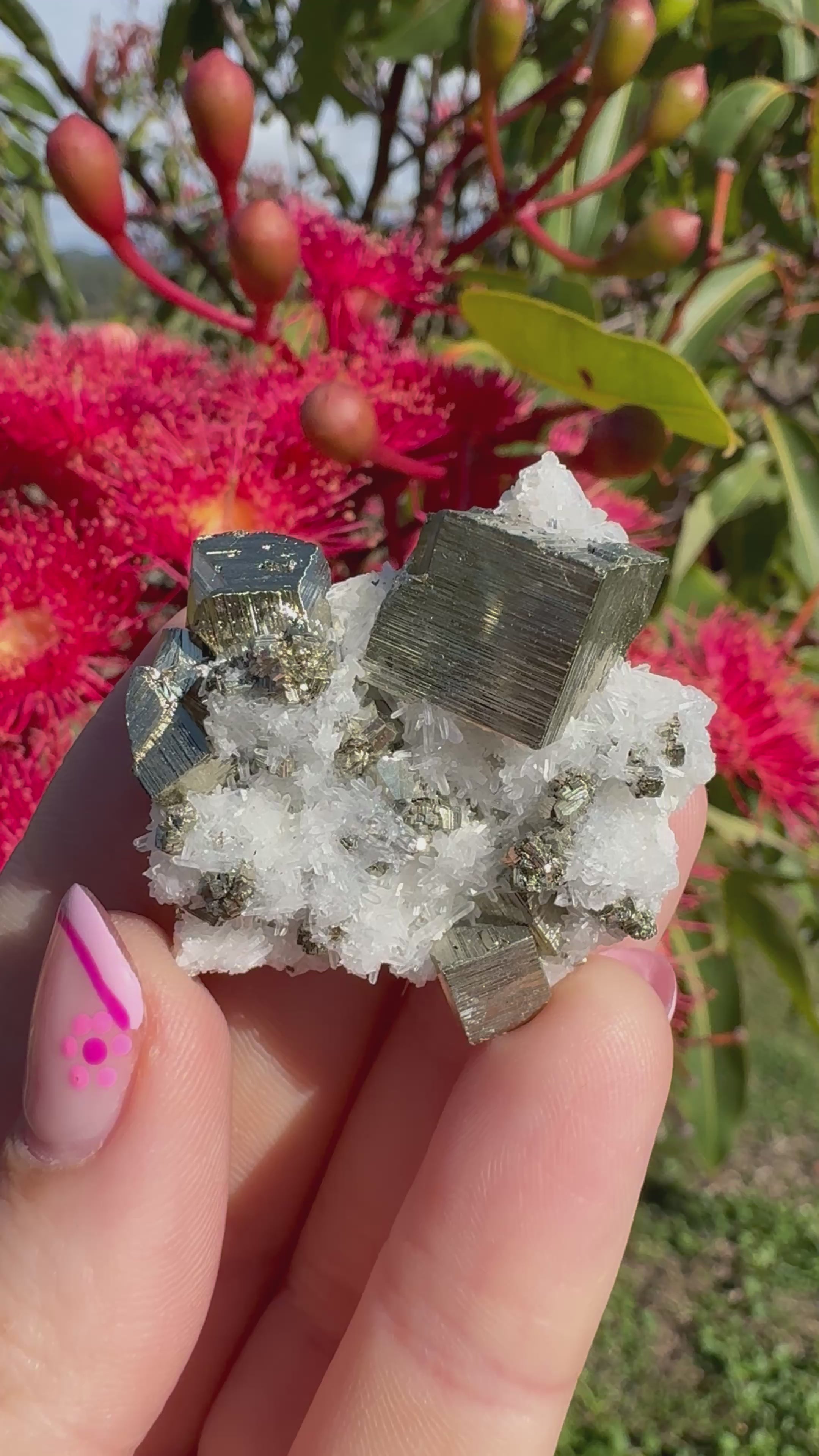 Pyrite Cubes on Quartz Specimen
