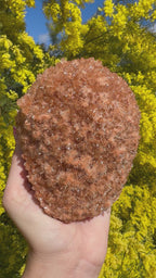 Red Selenite ‘Gypsum’ Specimen - Port Hedland