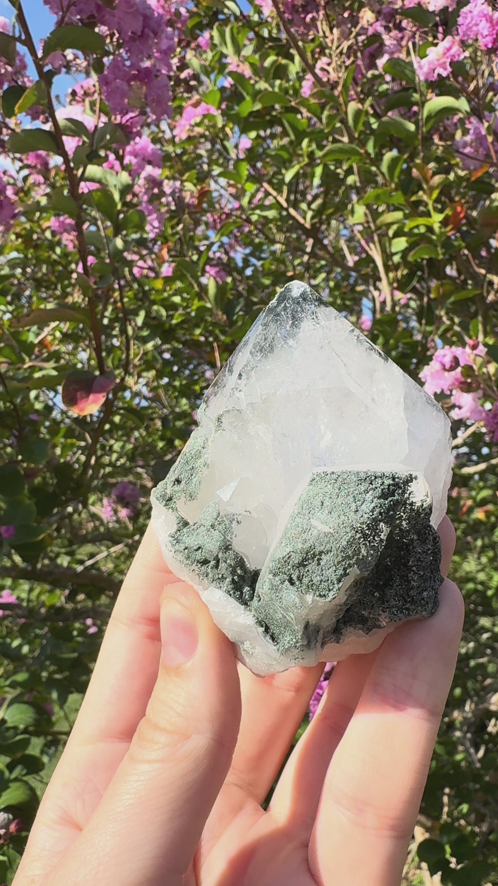 Silver Garden Quartz with Actinolite Inclusions Point