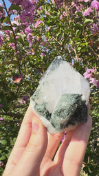 Silver Garden Quartz with Actinolite Inclusions Point