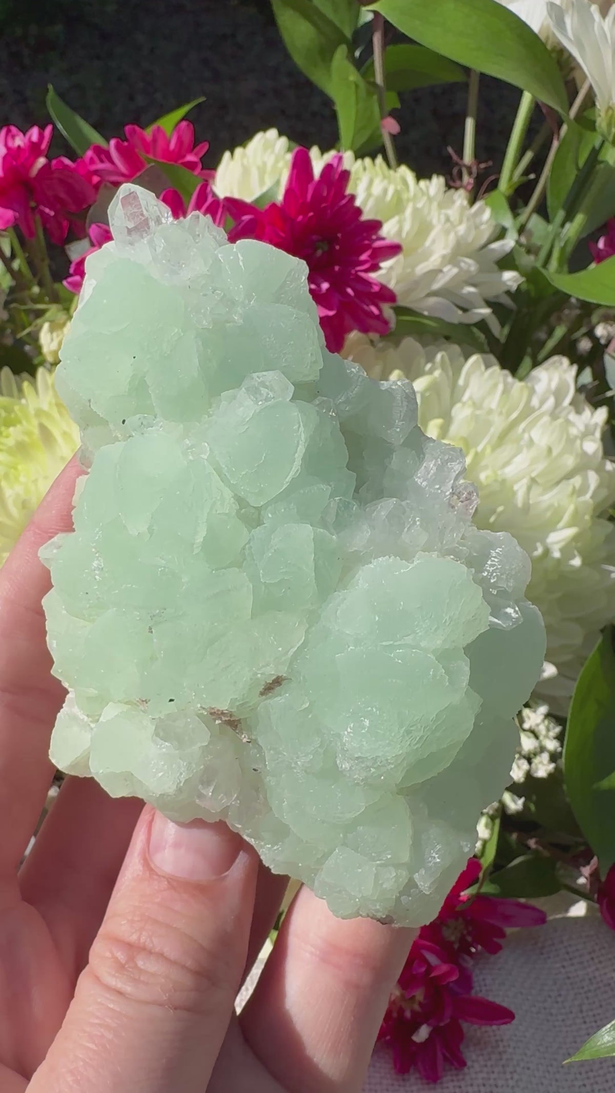 Quartz On Botryoidal Prehnite with Black Tourmaline Specimen