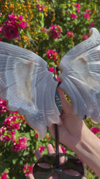 Druzy Agate Wings on Stand