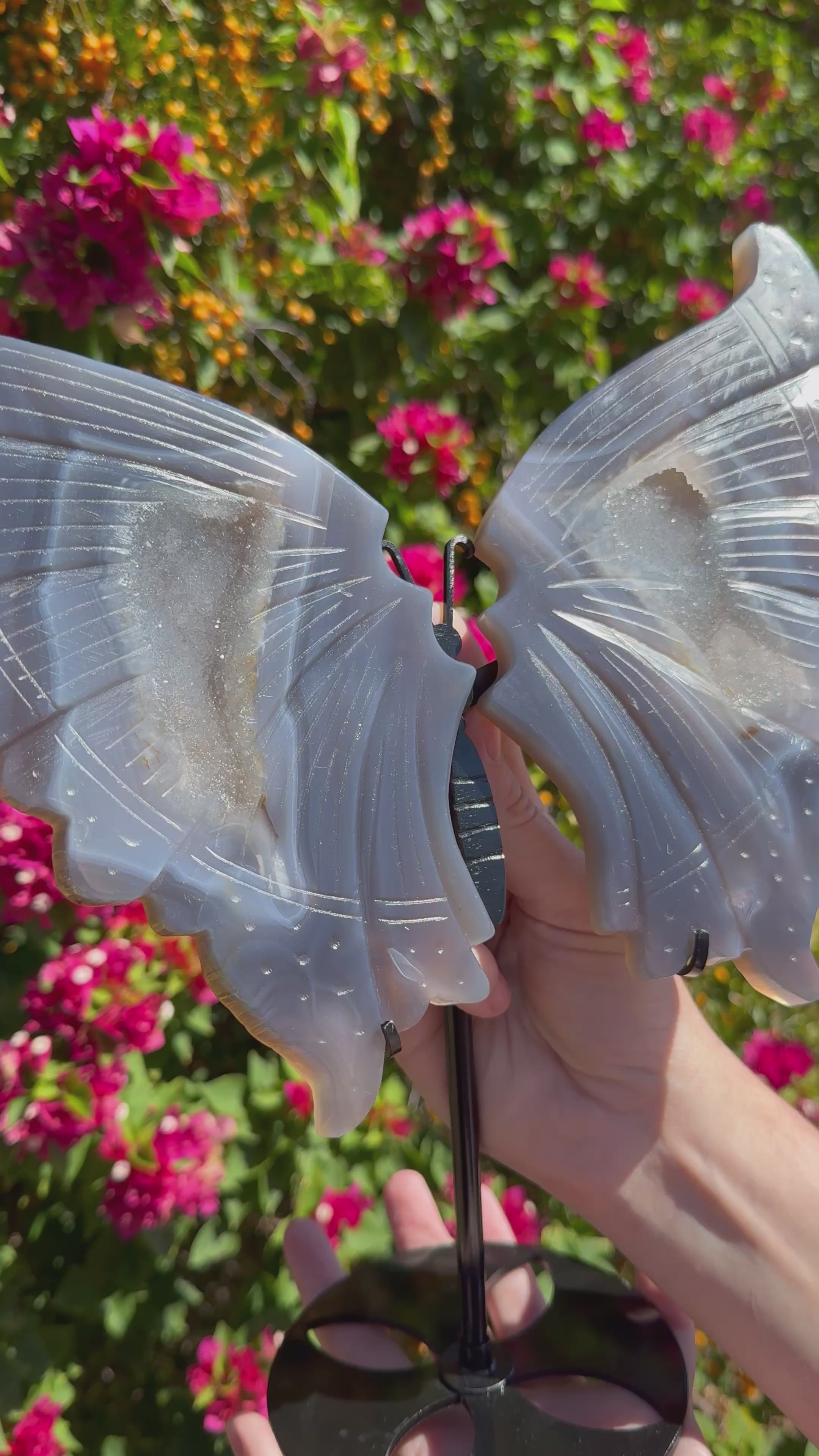 Druzy Agate Wings on Stand