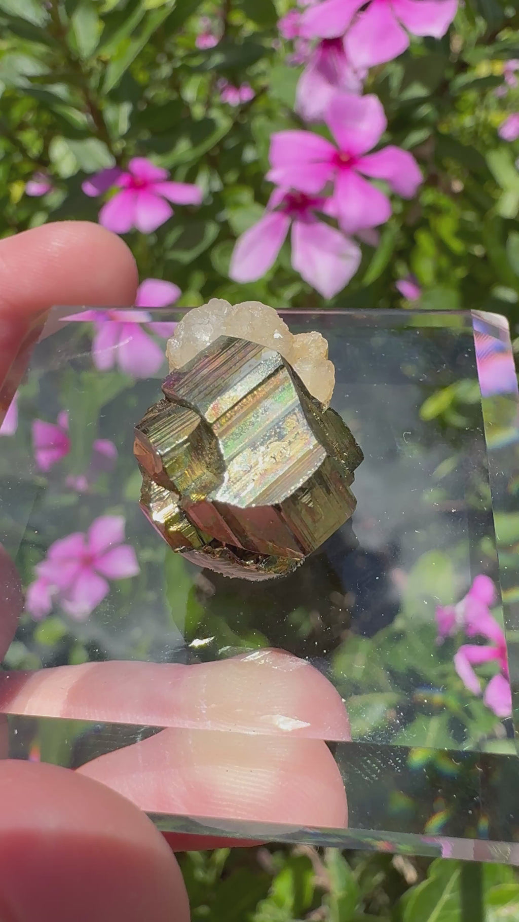 Iridescent Pyrite With Stilbite Cluster - A Grade