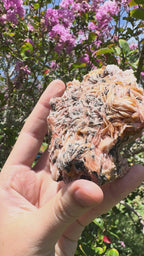 Cerussite on Barite Cluster Specimen