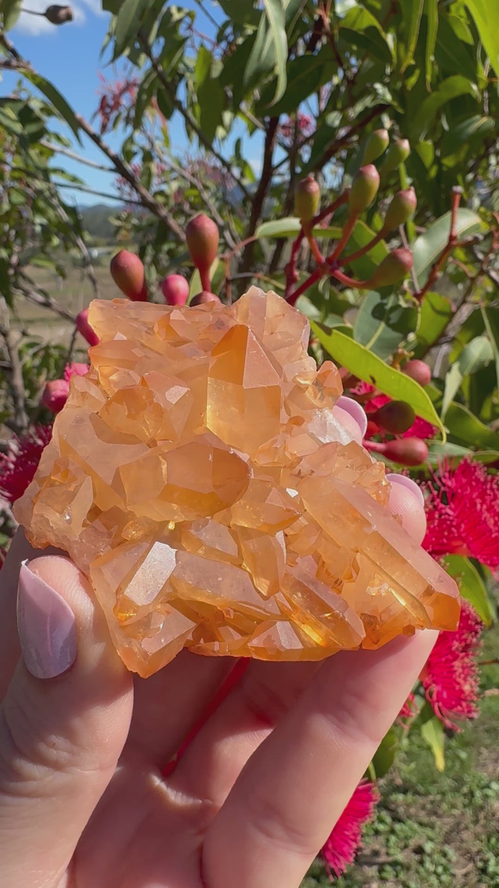 Tangerine Quartz Cluster