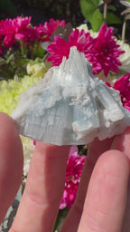 Cats Eye Aquamarine Specimen