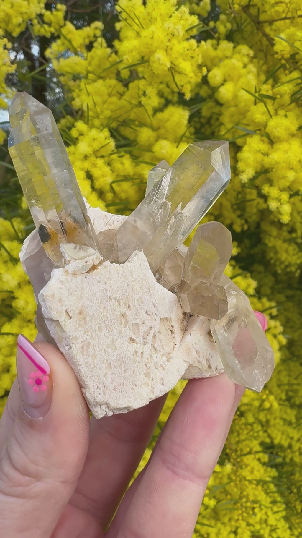 Himalayan Rutile-Included Citrine Quartz Cluster on Matrix