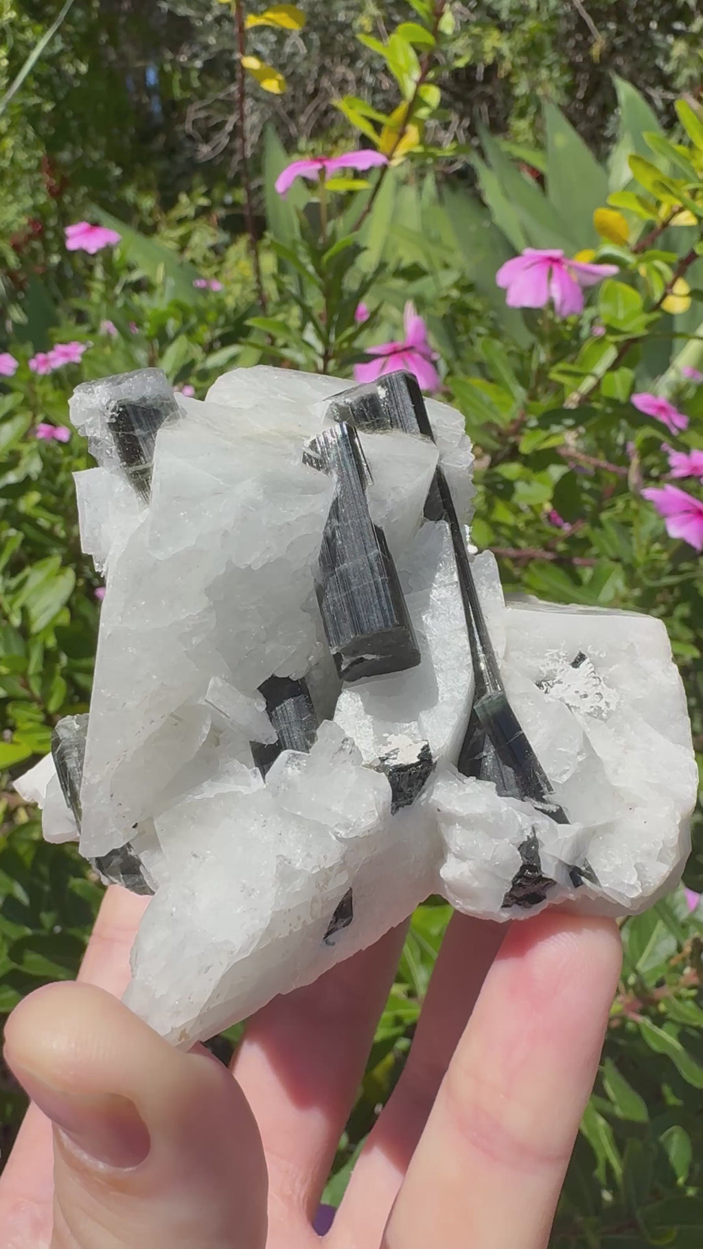 Black Tourmaline in Quartz Specimen