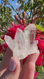 Himalayan Quartz Cluster