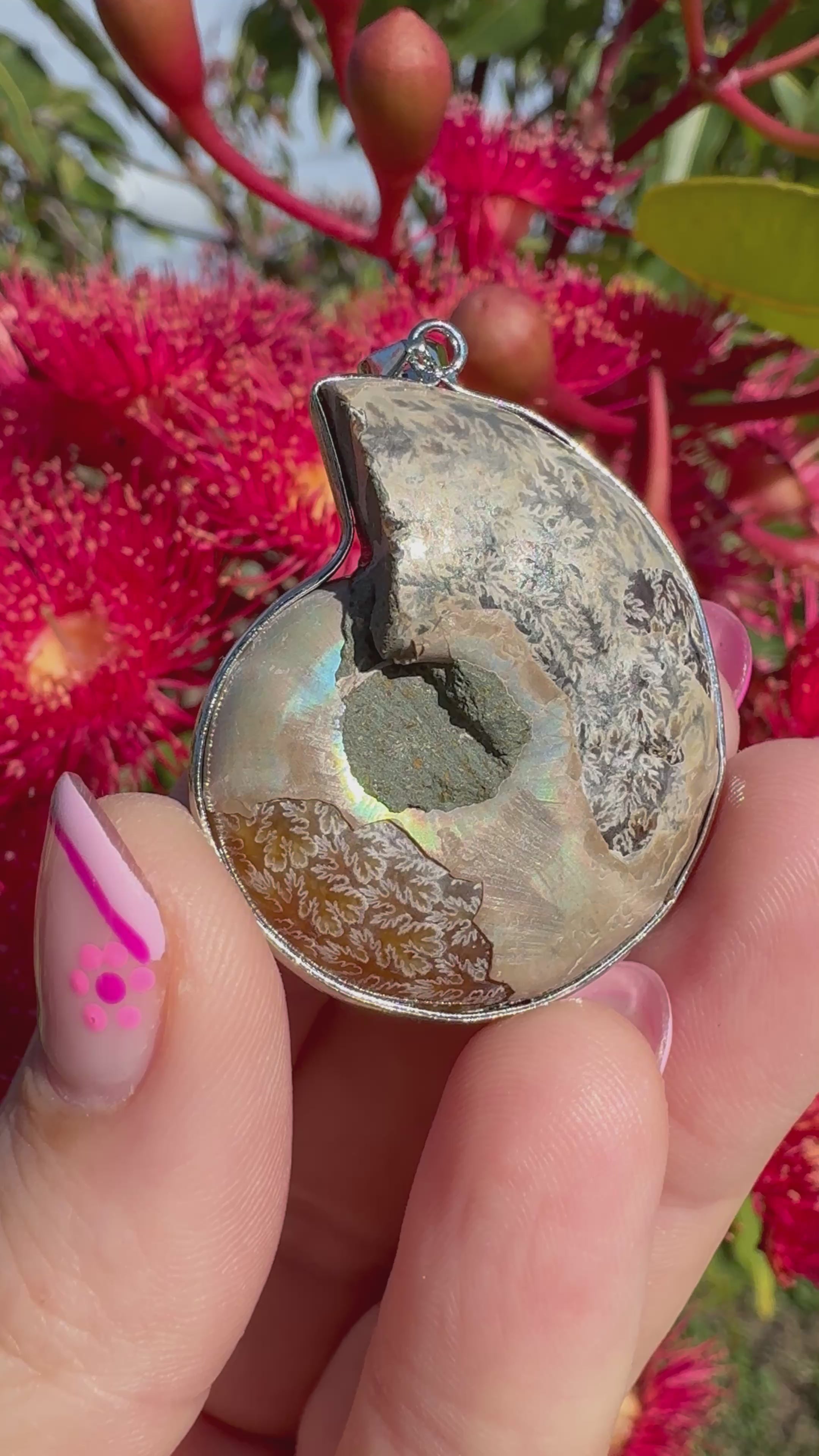 Opalised Dendritic Ammonite Fossil Pendant