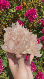 Pink Himalayan Samadhi Quartz Cluster