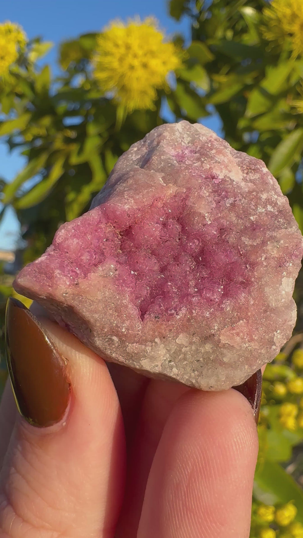 Cobalt Calcite Specimen | AAA Grade