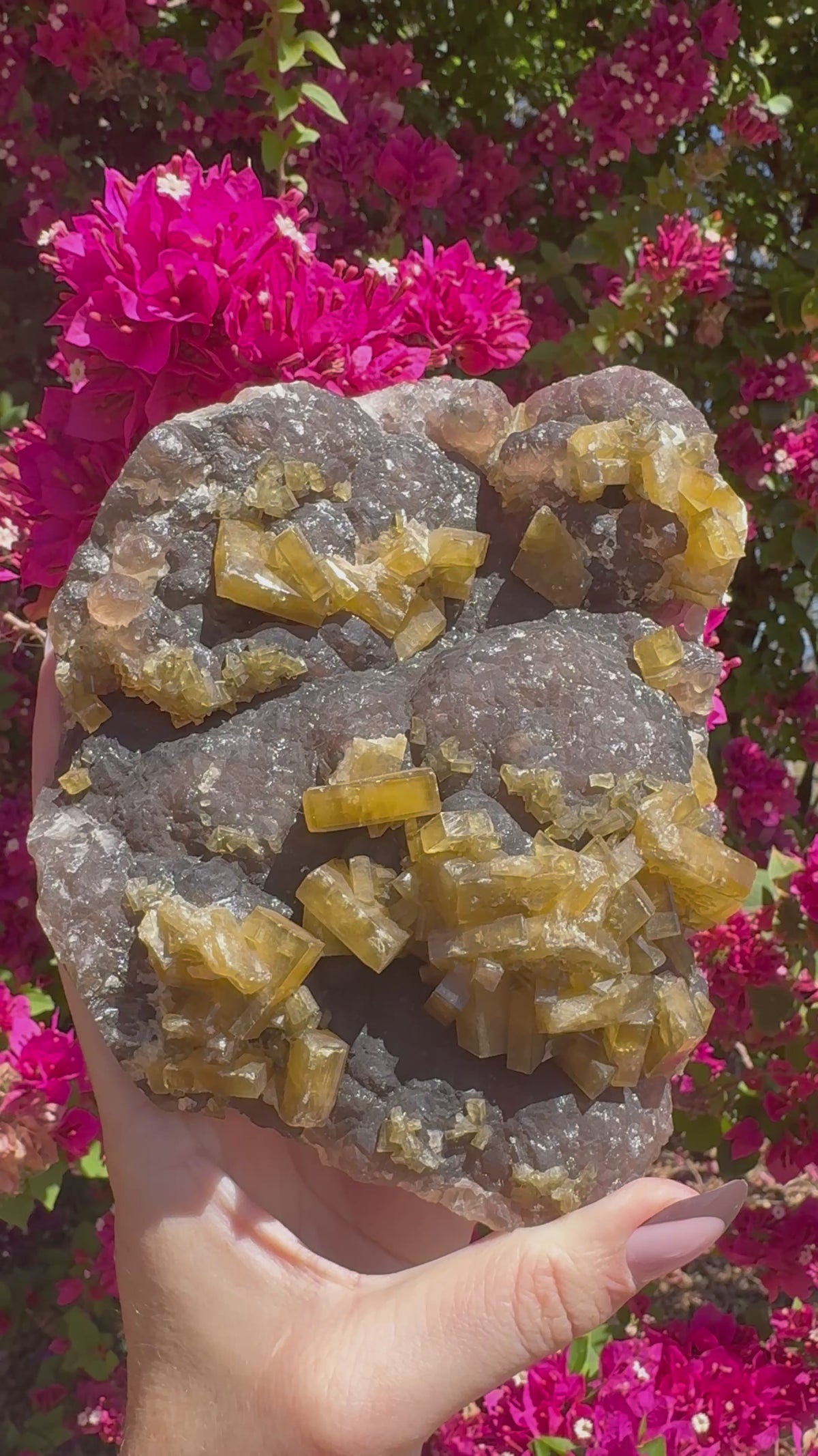 Golden Barite With Botryoidal Chocolate Calcite Specimen | 1.6kg