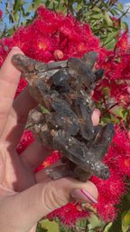 Deep Black Smoky Quartz with Hematite Cluster