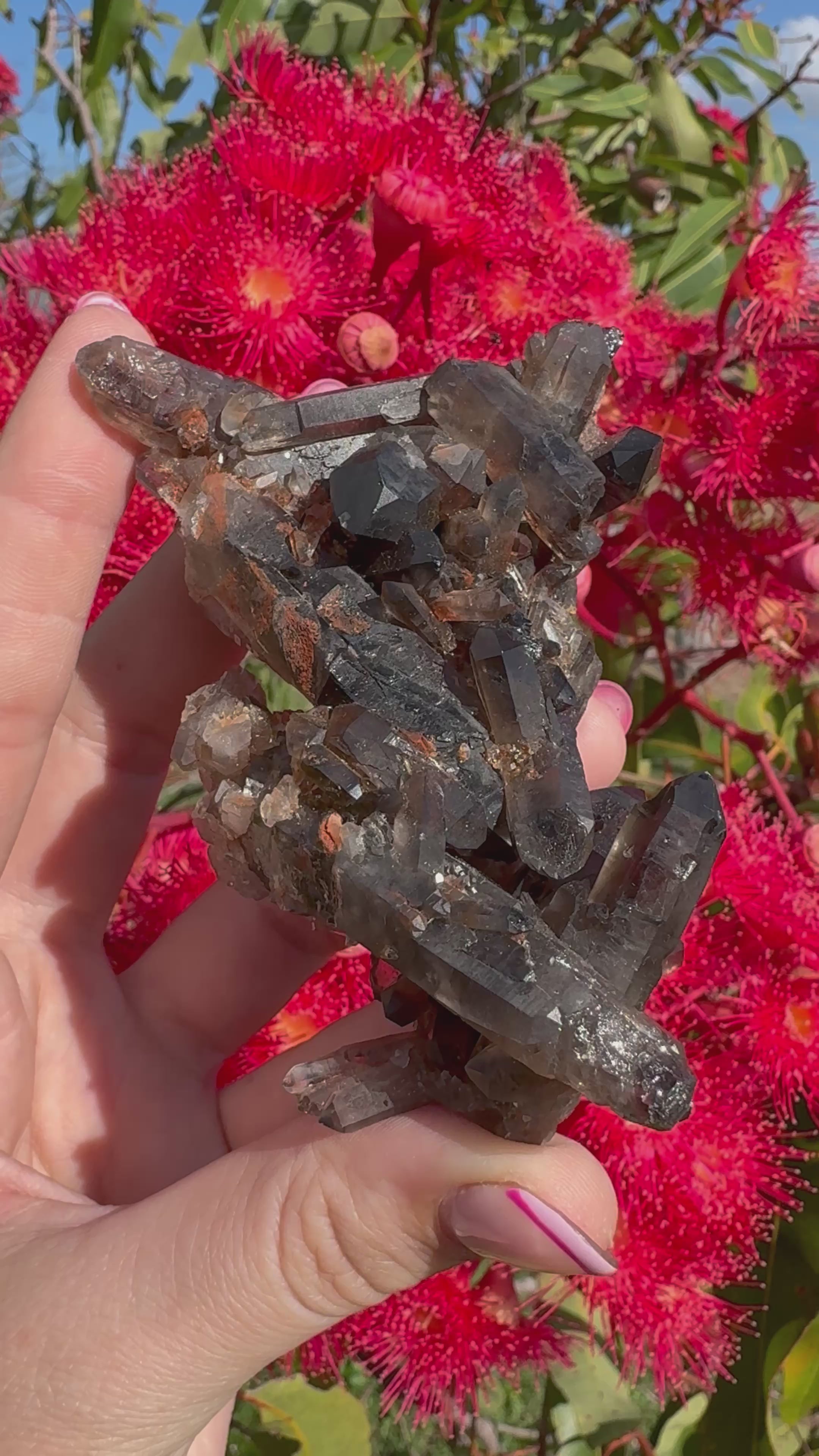 Deep Black Smoky Quartz with Hematite Cluster