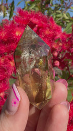 Citrine Double Terminated Point