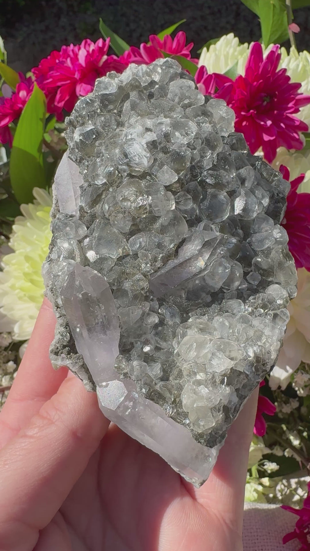 Amethyst Points With Botryoidal Green Fluorite Specimen - Brandberg