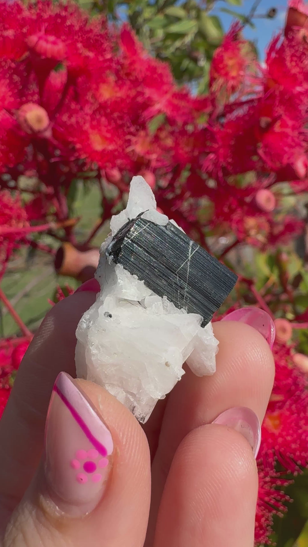 Green Tourmaline and Quartz Specimen - Stak Nala