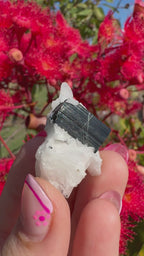 Green Tourmaline and Quartz Specimen - Stak Nala