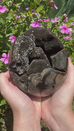 Septarian Druzy Egg with Calcite Inclusions - 2.446kg