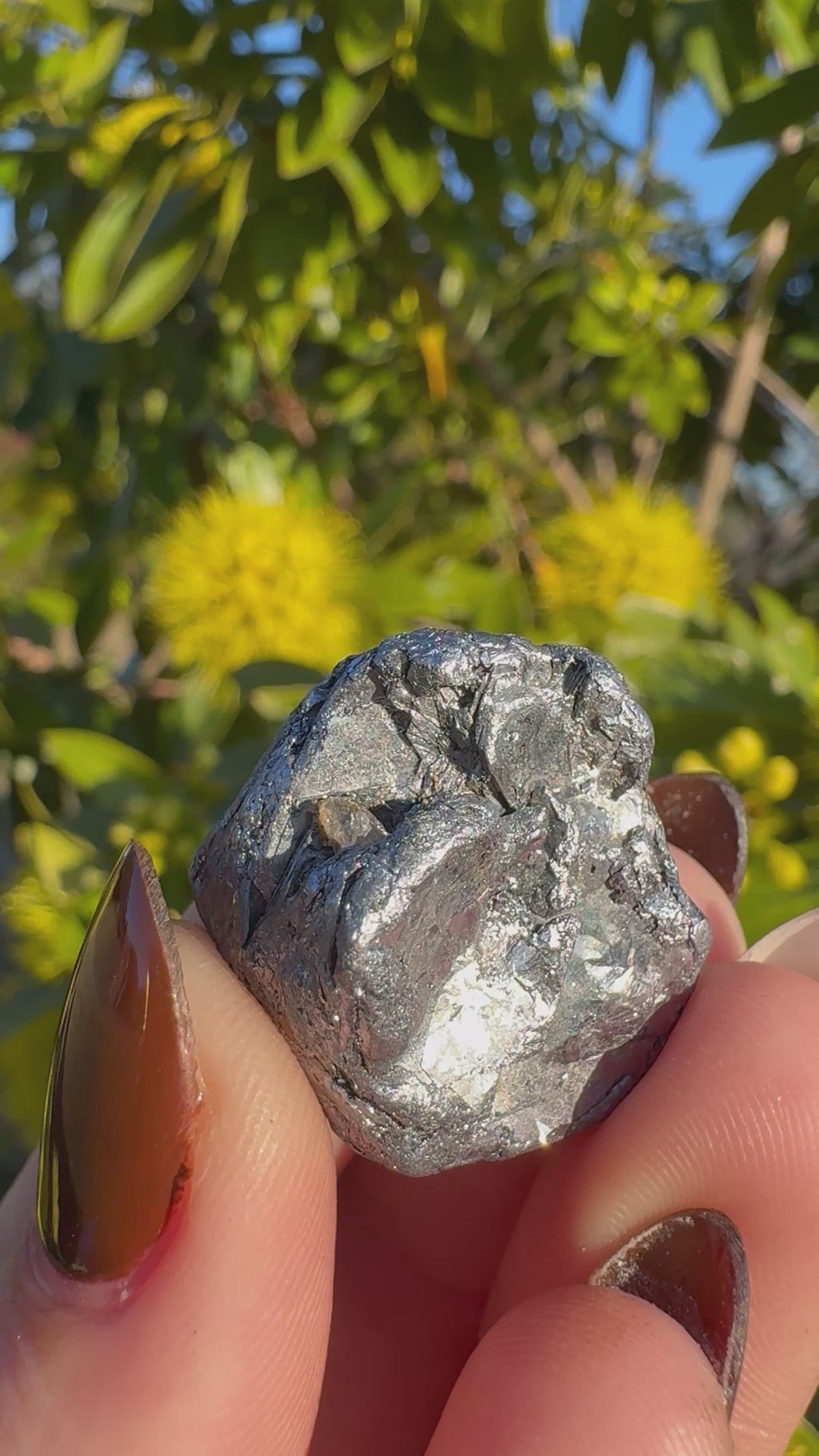 Molybdenite Specimen | Kingsgate