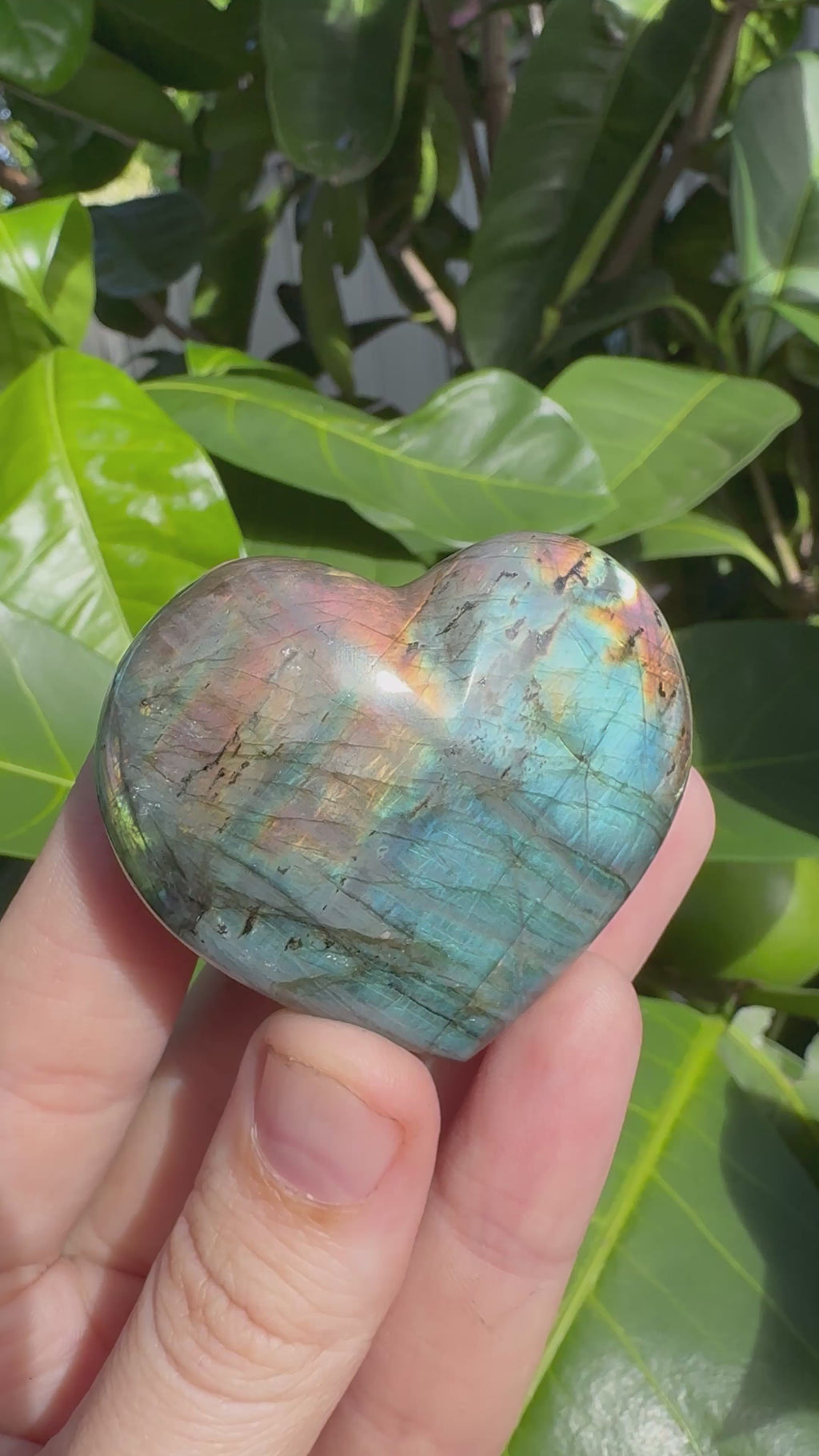 Labradorite Heart