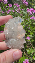 Glass Apophyllite With Stilbite Cluster - High Quality