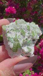 Spécimen de tourmaline verte avec kunzite sur matrice d'albite