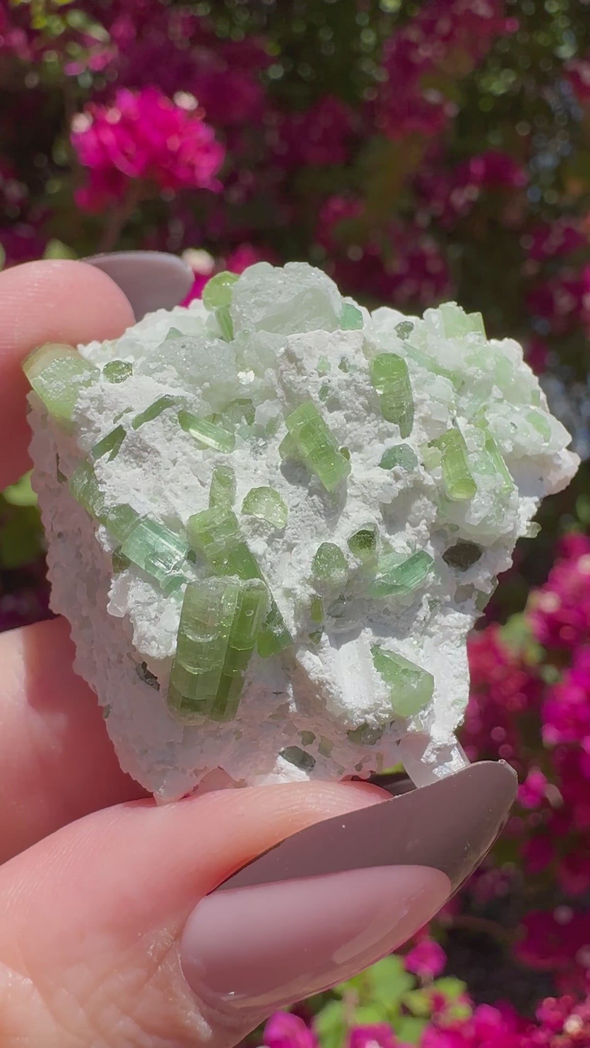 Spécimen de tourmaline verte avec kunzite sur matrice d'albite