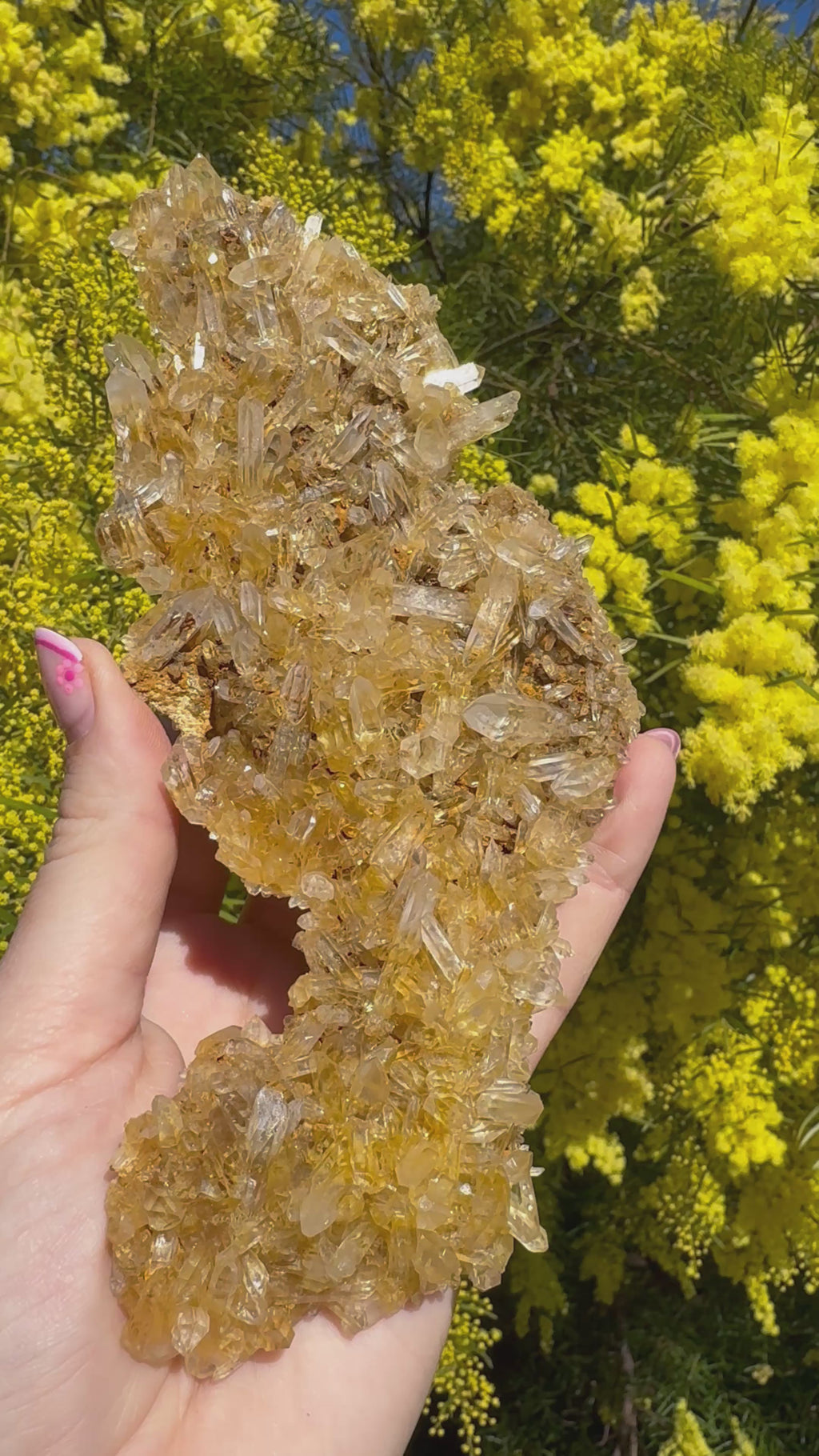 Golden Healer Quartz Floater Cluster with Multiple DT Crystals - High Quality