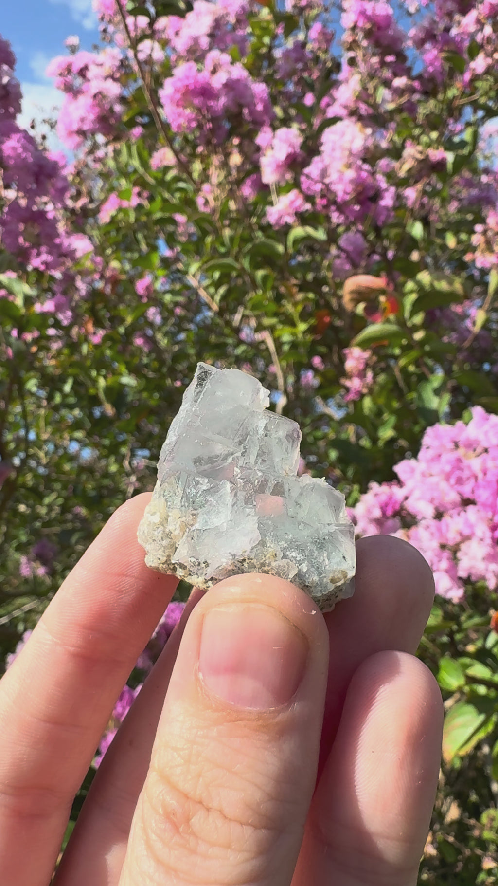 Blue Cubic Fluorite Cluster
