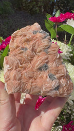 Calcite With Barite and Galena Specimen