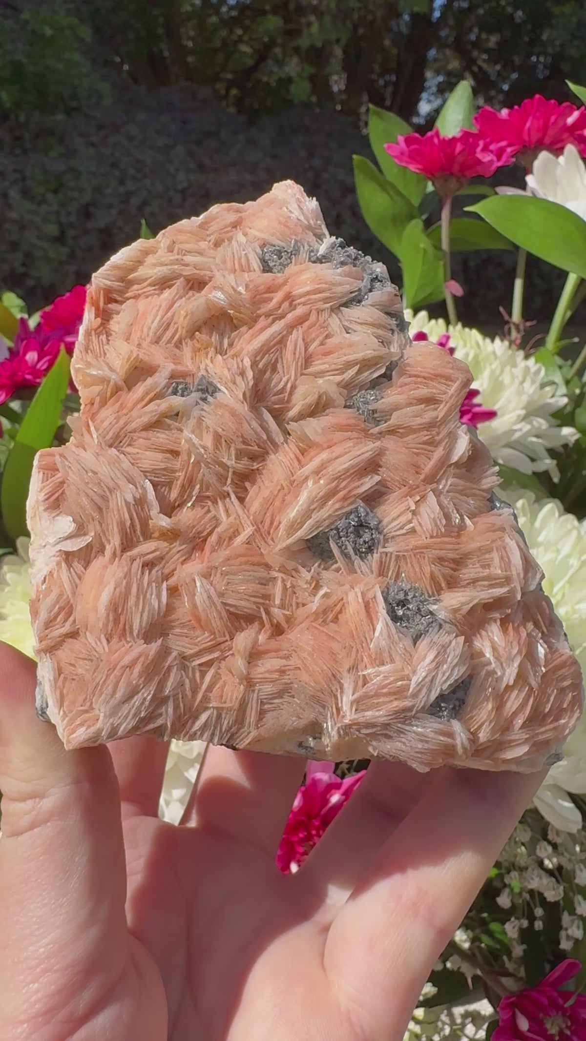Calcite With Barite and Galena Specimen
