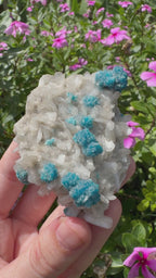Cavansite On Zeolite Mineral Specimen