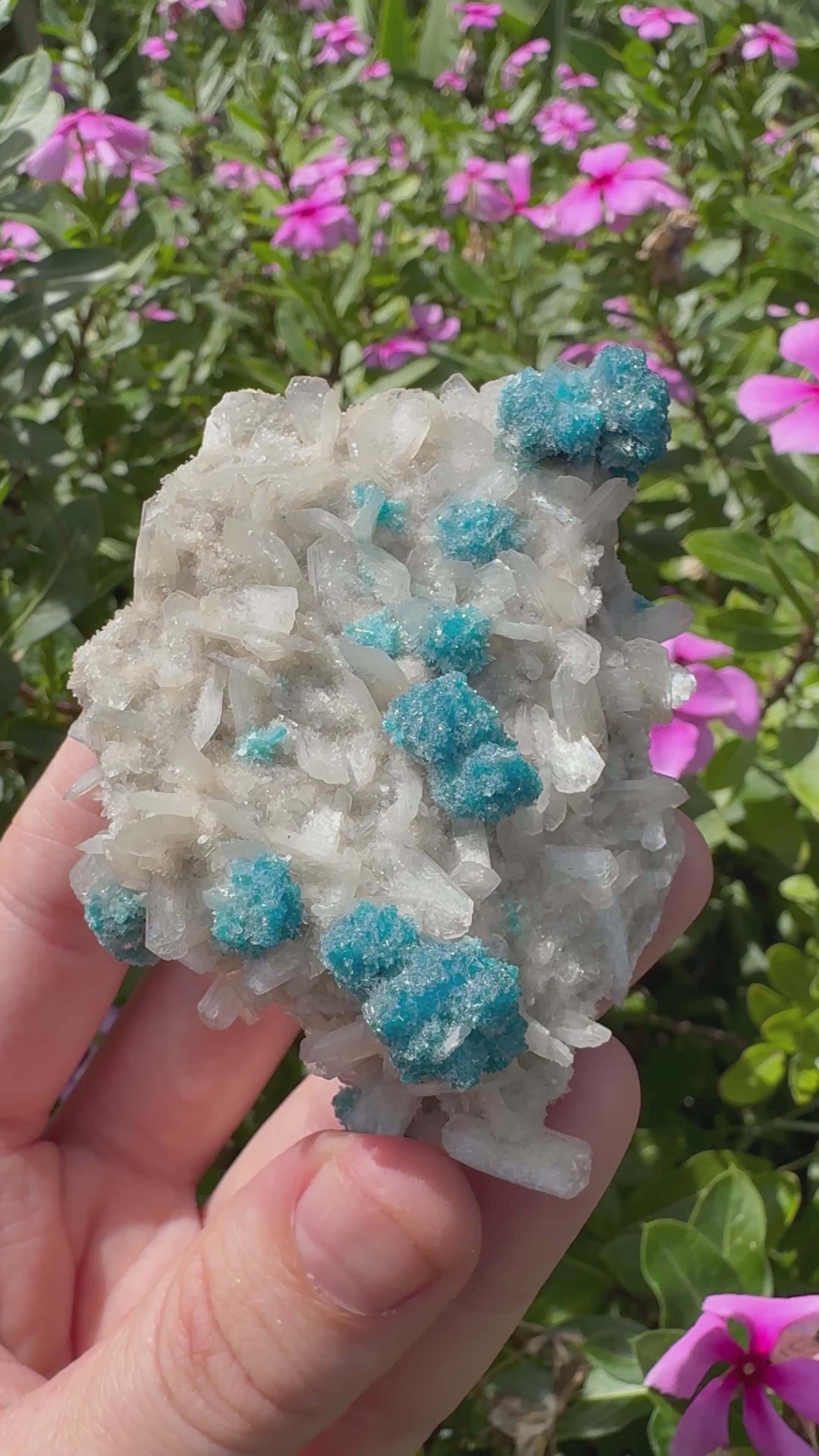 Cavansite On Zeolite Mineral Specimen