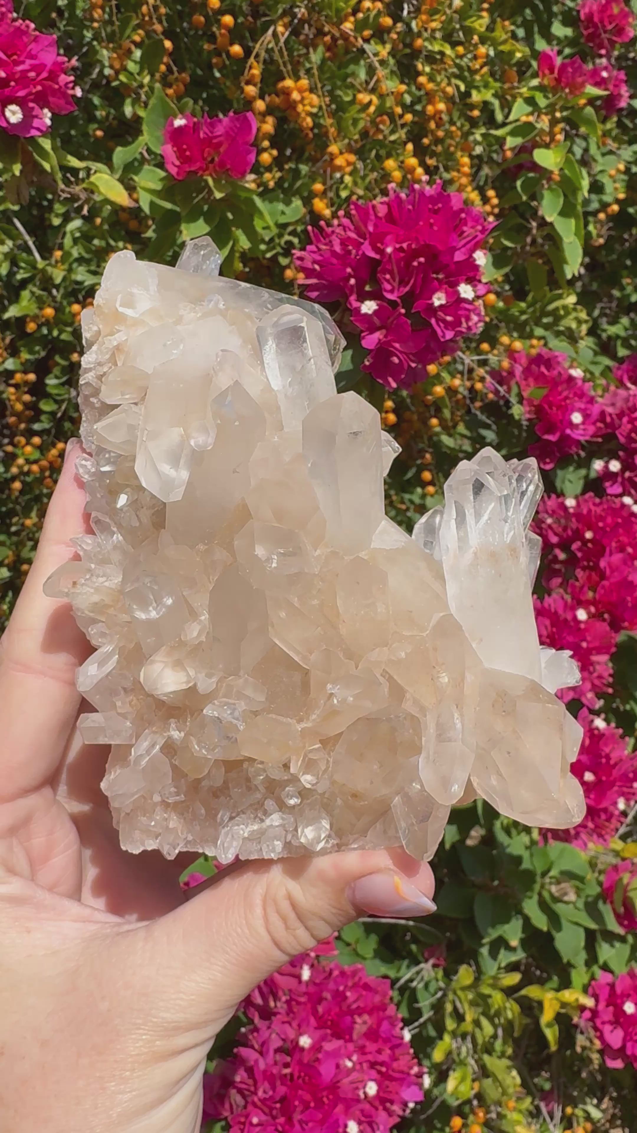 Pink Himalayan Samadhi Quartz Cluster