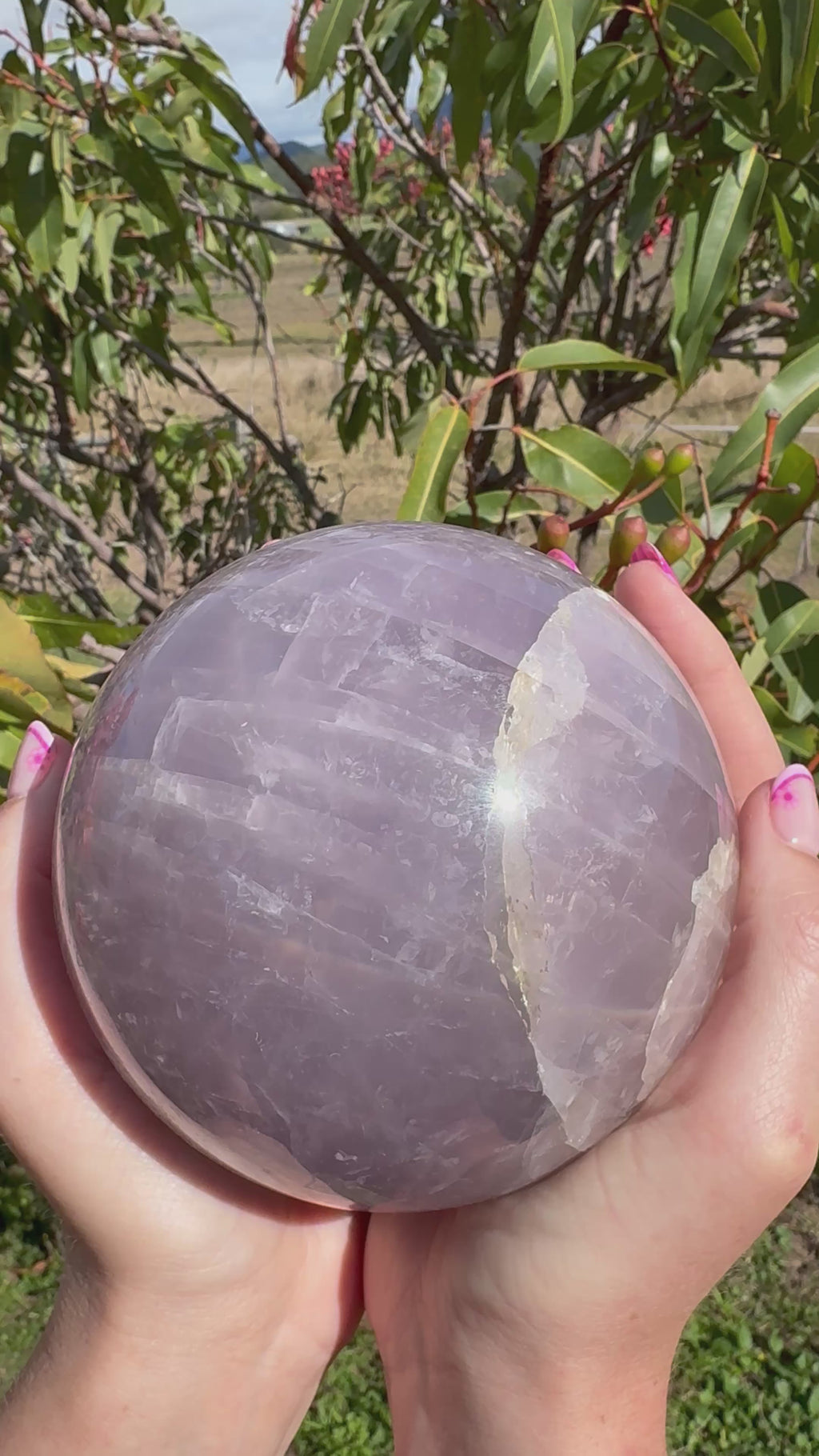Lavender Rose Quartz Asterism Sphere - Statement 2.9kg