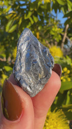 Kingsgate Molybdenite Collector Specimen