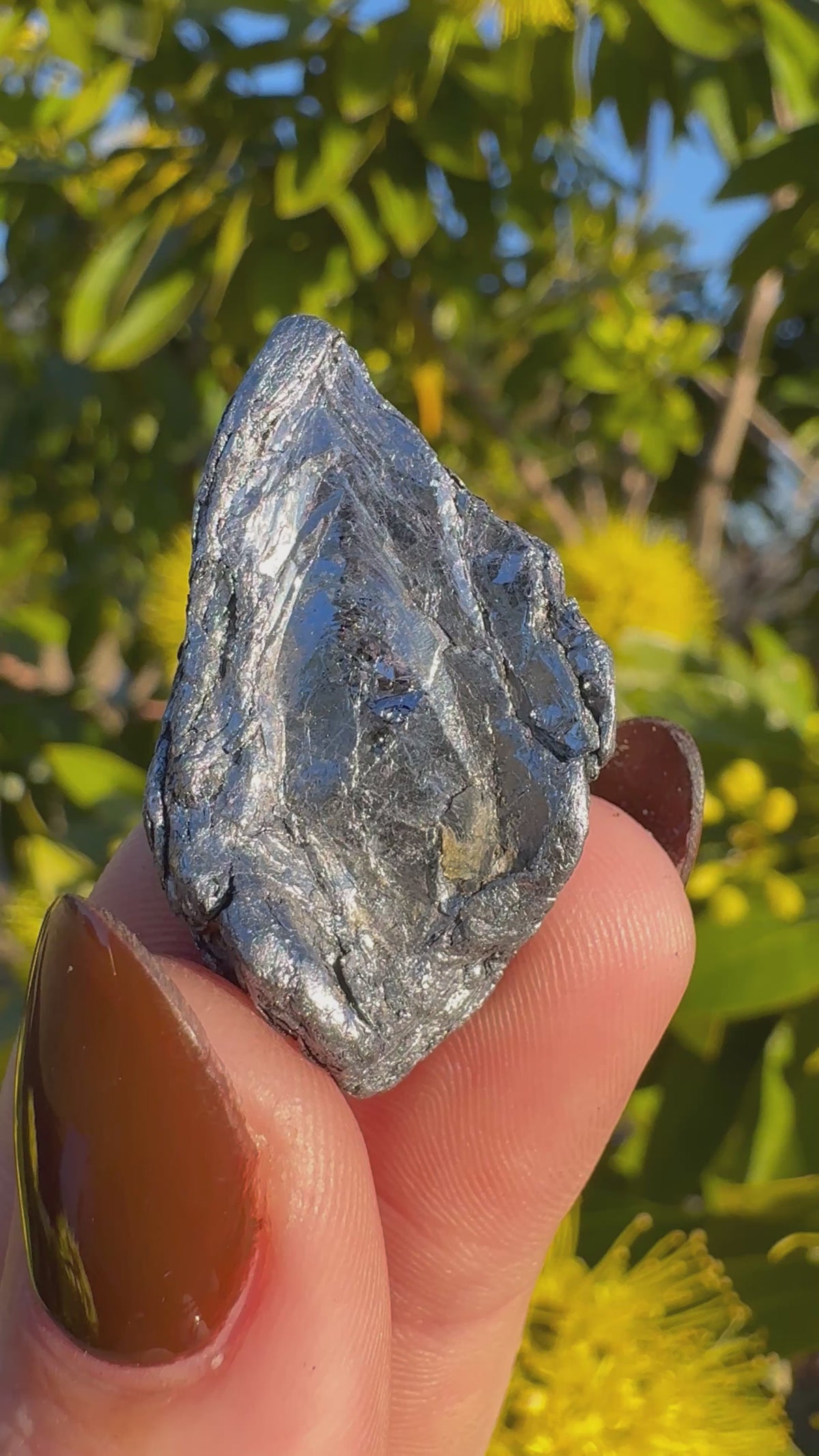 Kingsgate Molybdenite Collector Specimen