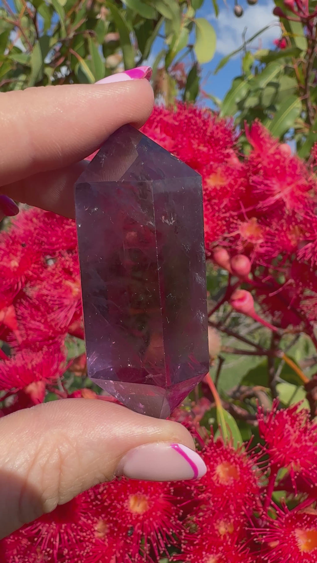 Amethyst Double Terminated Point