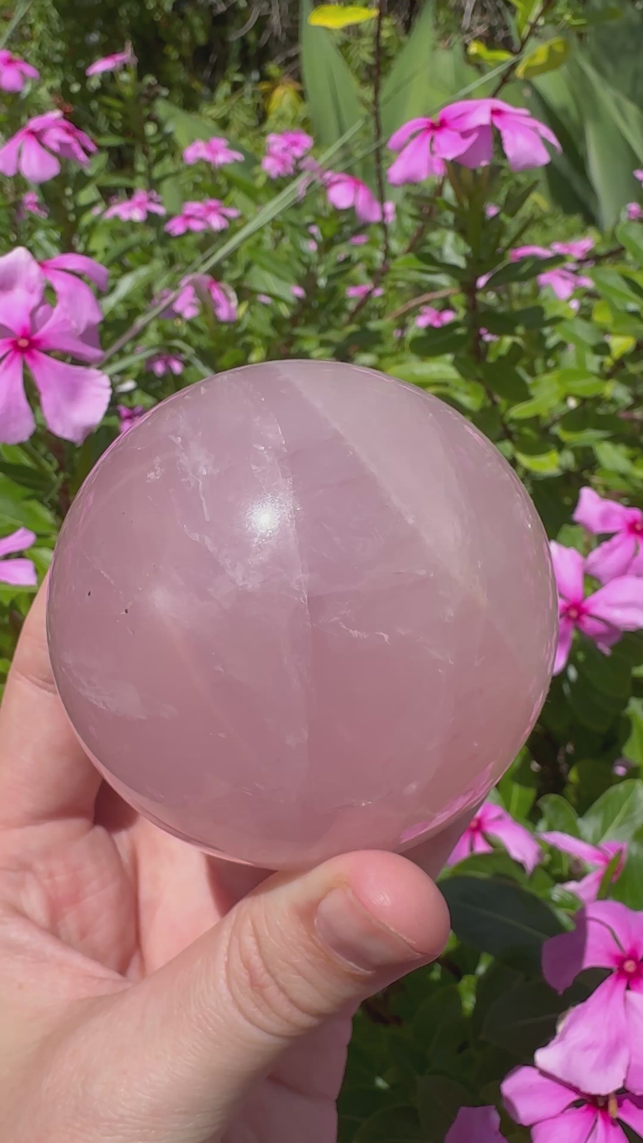 Rose Quartz Sphere with Asterism