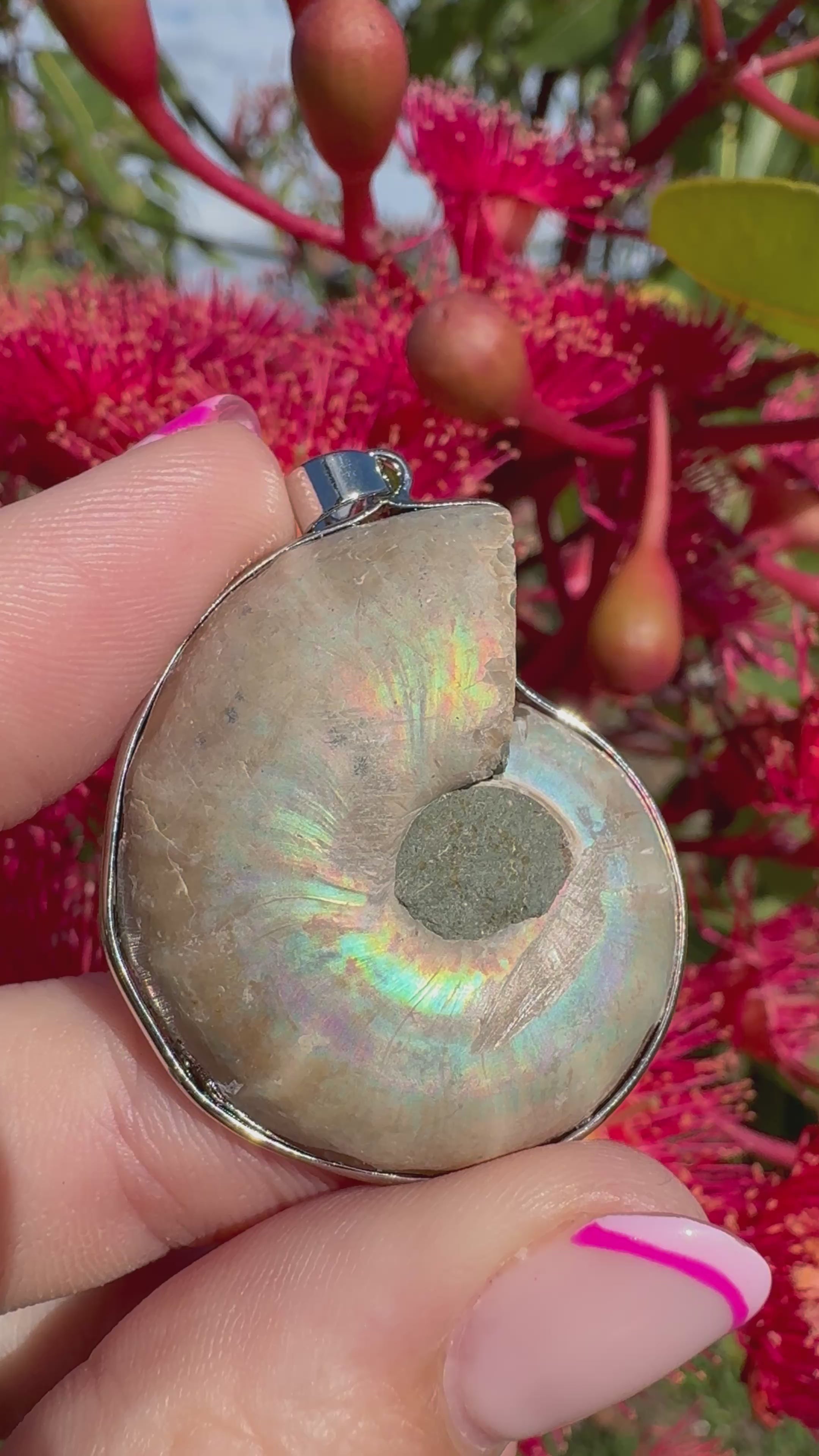 Opalised Ammonite Fossil Pendant