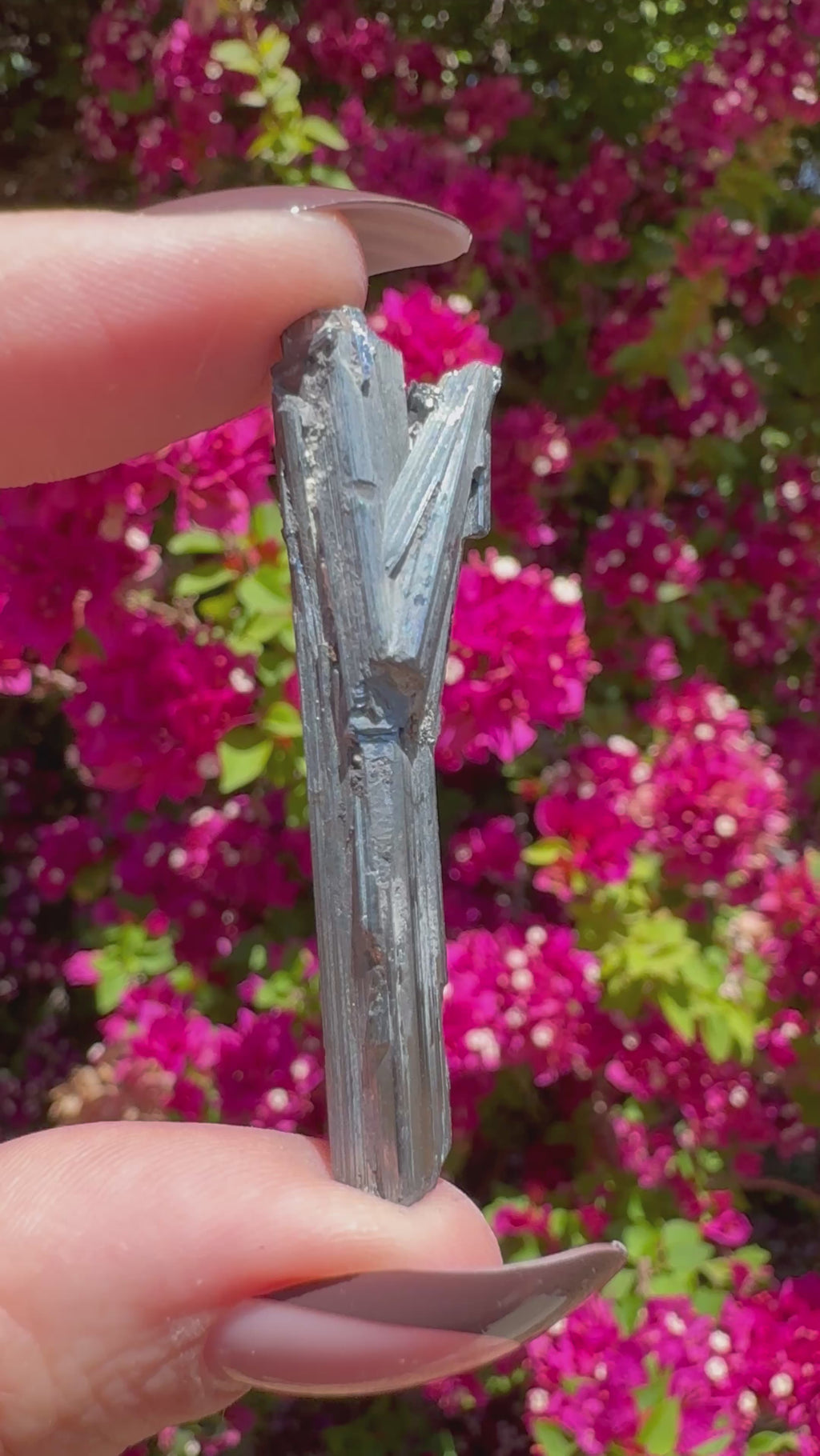 Stibnite Specimen
