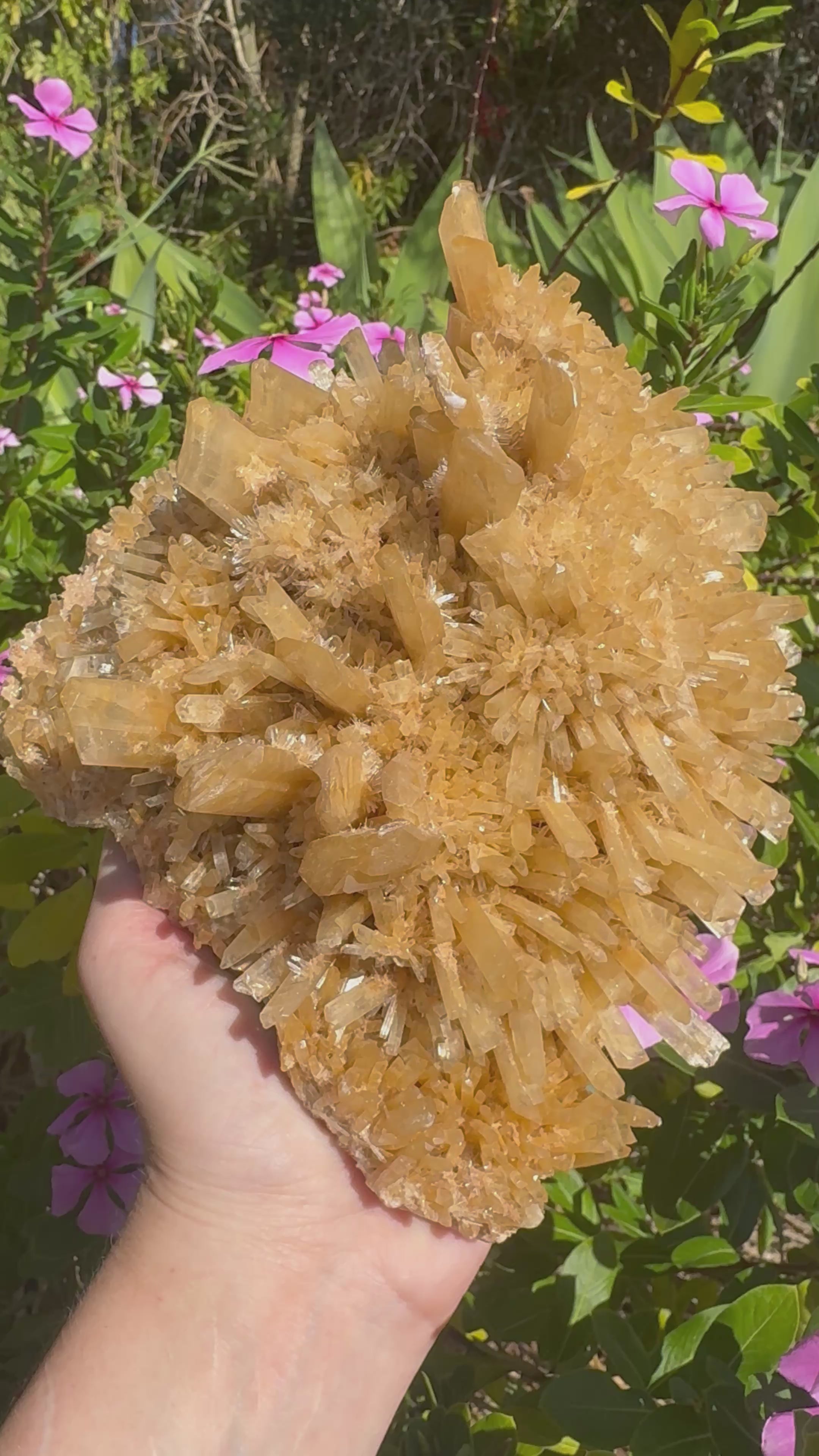Selenite ‘Gypsum’ Natural Specimen