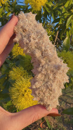 Selenite ‘Gypsum’ Natural Specimen - Chillingollah
