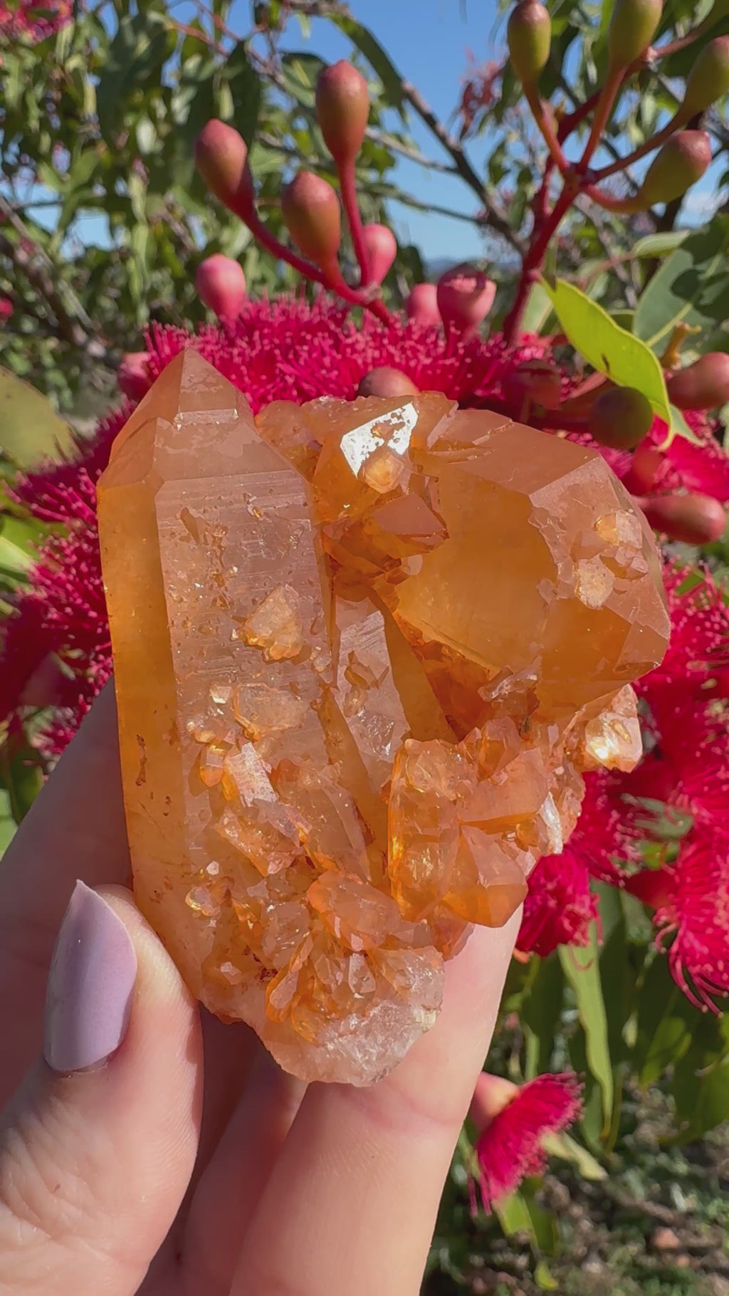 Tangerine Quartz Cluster