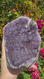 Amethyst Druzy Standing Geode  – 1.685kg