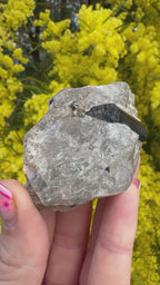 Black Tourmaline In Quartz Specimen