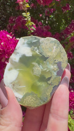 Polished Prehnite Slice | Wave Hill